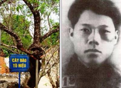Đề Cương tuyên truyền kỷ niệm 110 năm Ngày sinh đồng chí Tô Hiệu (1912 - 2022)